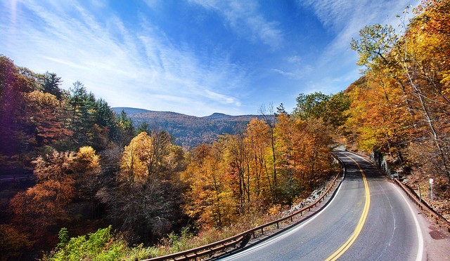 Your startup journey –  Hatchery to Investment Ready