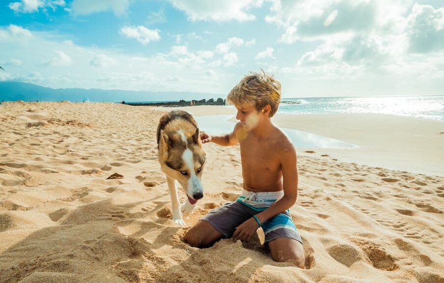 boy seating on brown sand