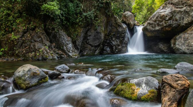 water falls in the middle of the forest